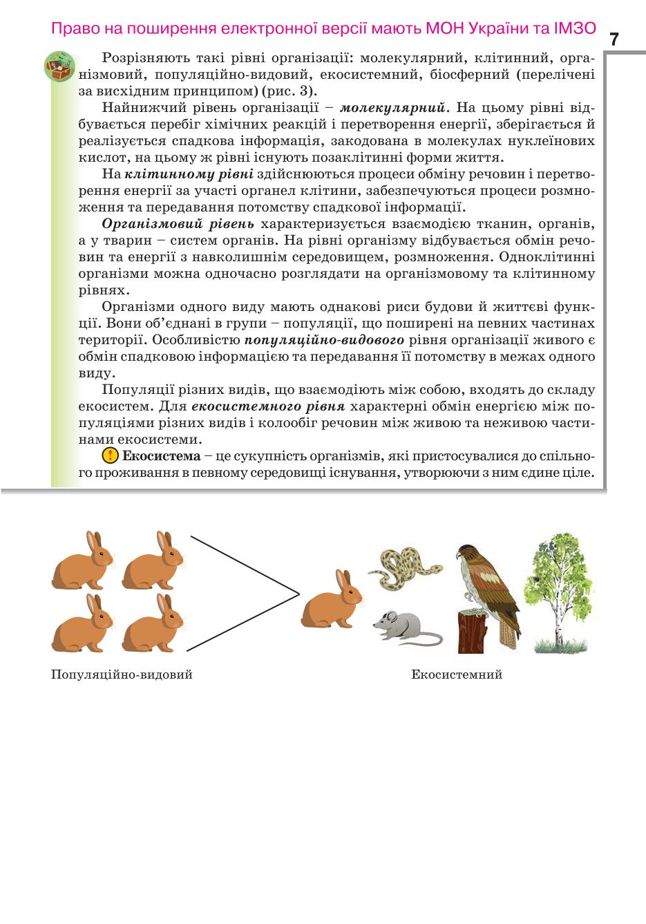 Мініатюра 7