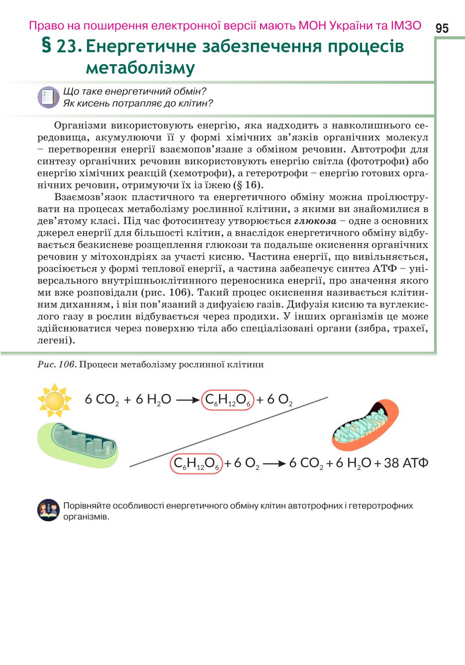 Мініатюра 95