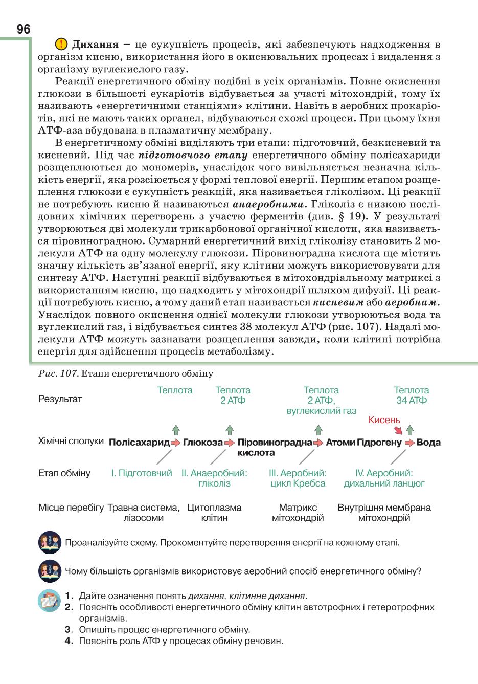 Мініатюра 96