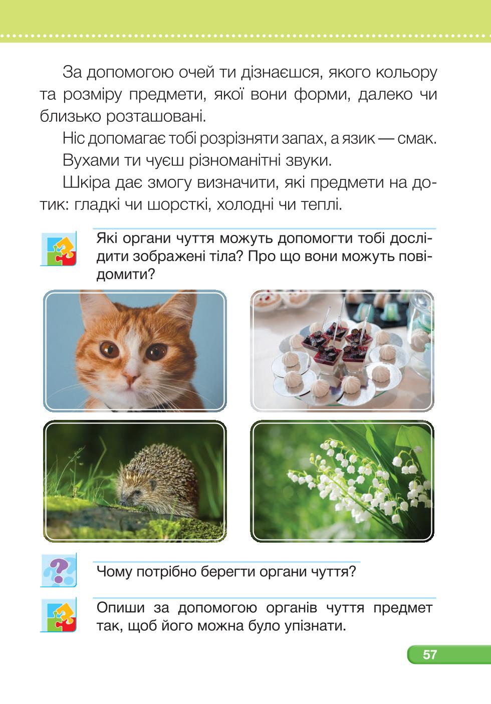 Мініатюра 57