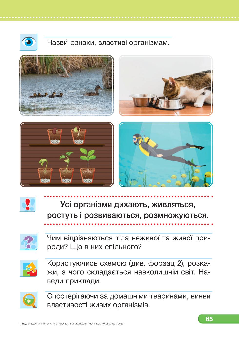 Мініатюра 65