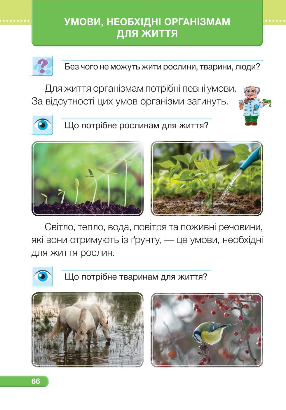 Мініатюра 66