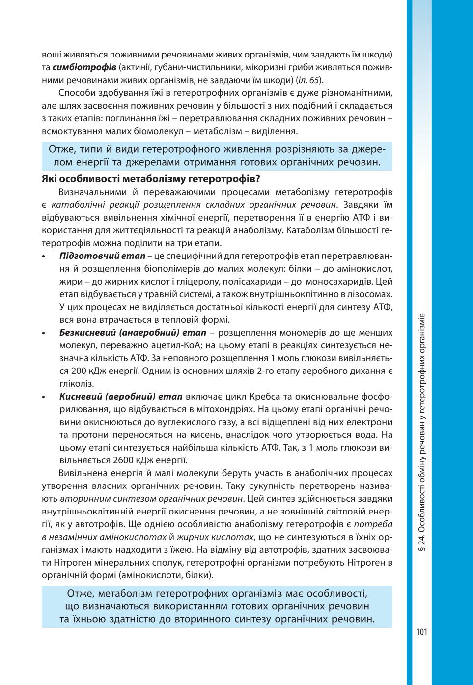 Мініатюра 101