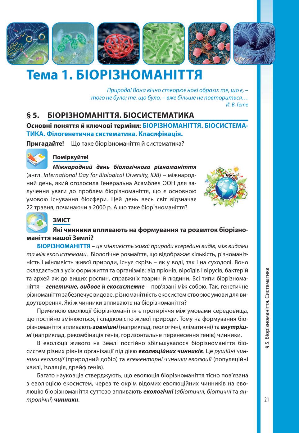 Мініатюра 21