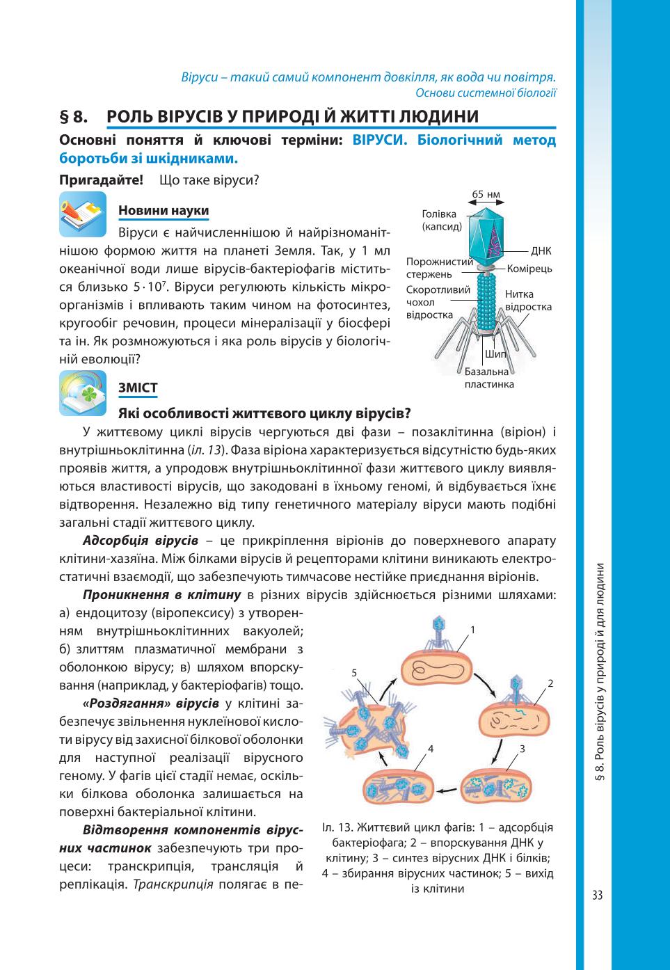 Мініатюра 33
