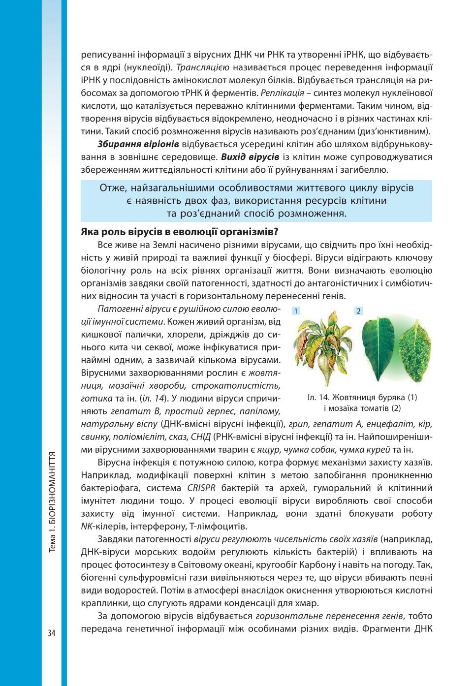 Мініатюра 34