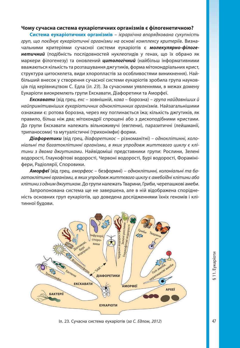 Мініатюра 47