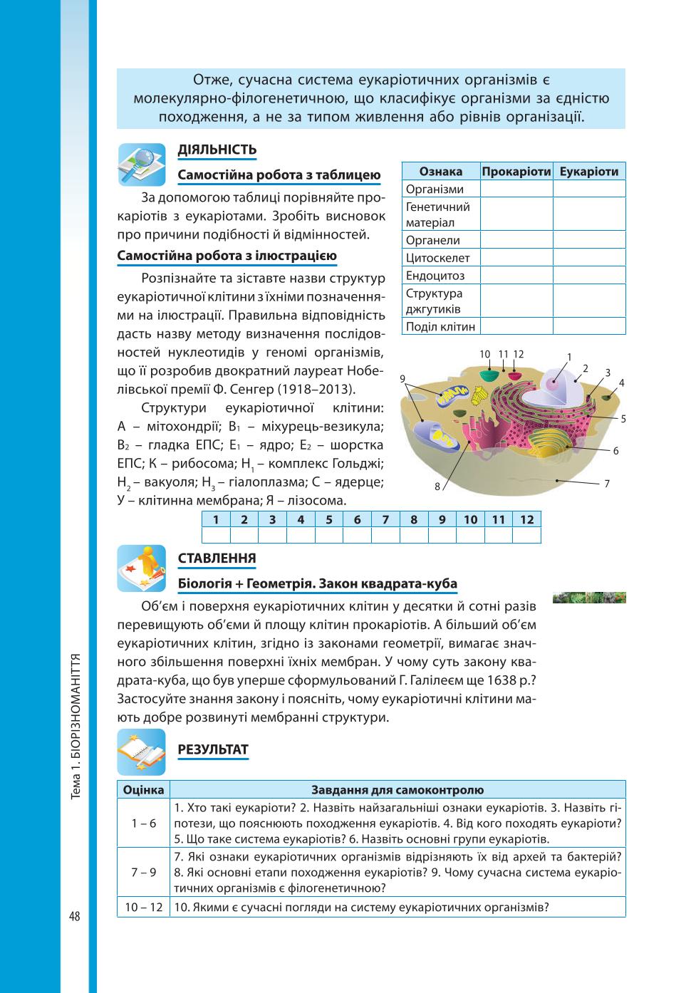 Мініатюра 48