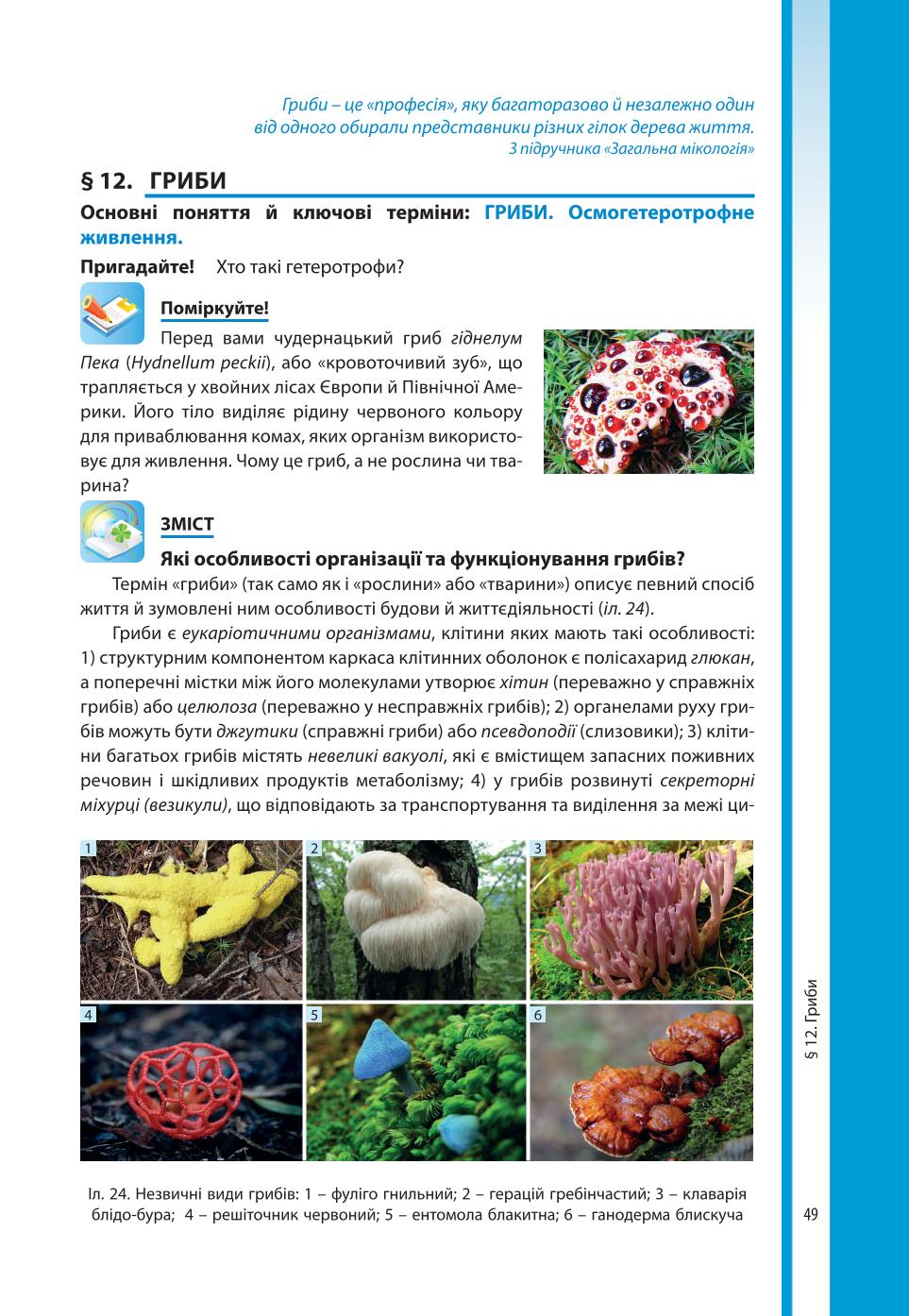 Мініатюра 49