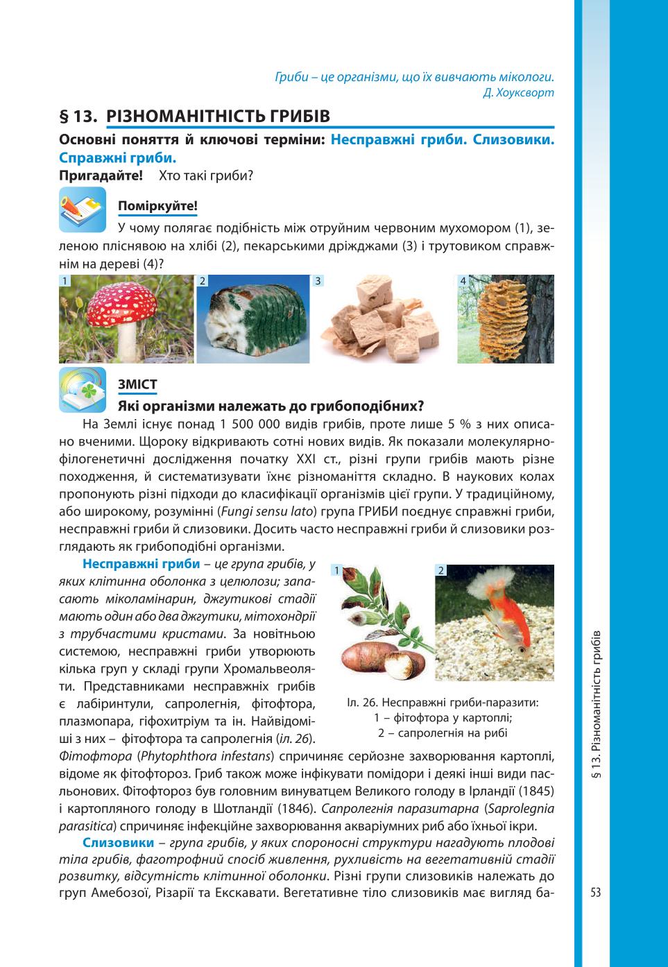 Мініатюра 53