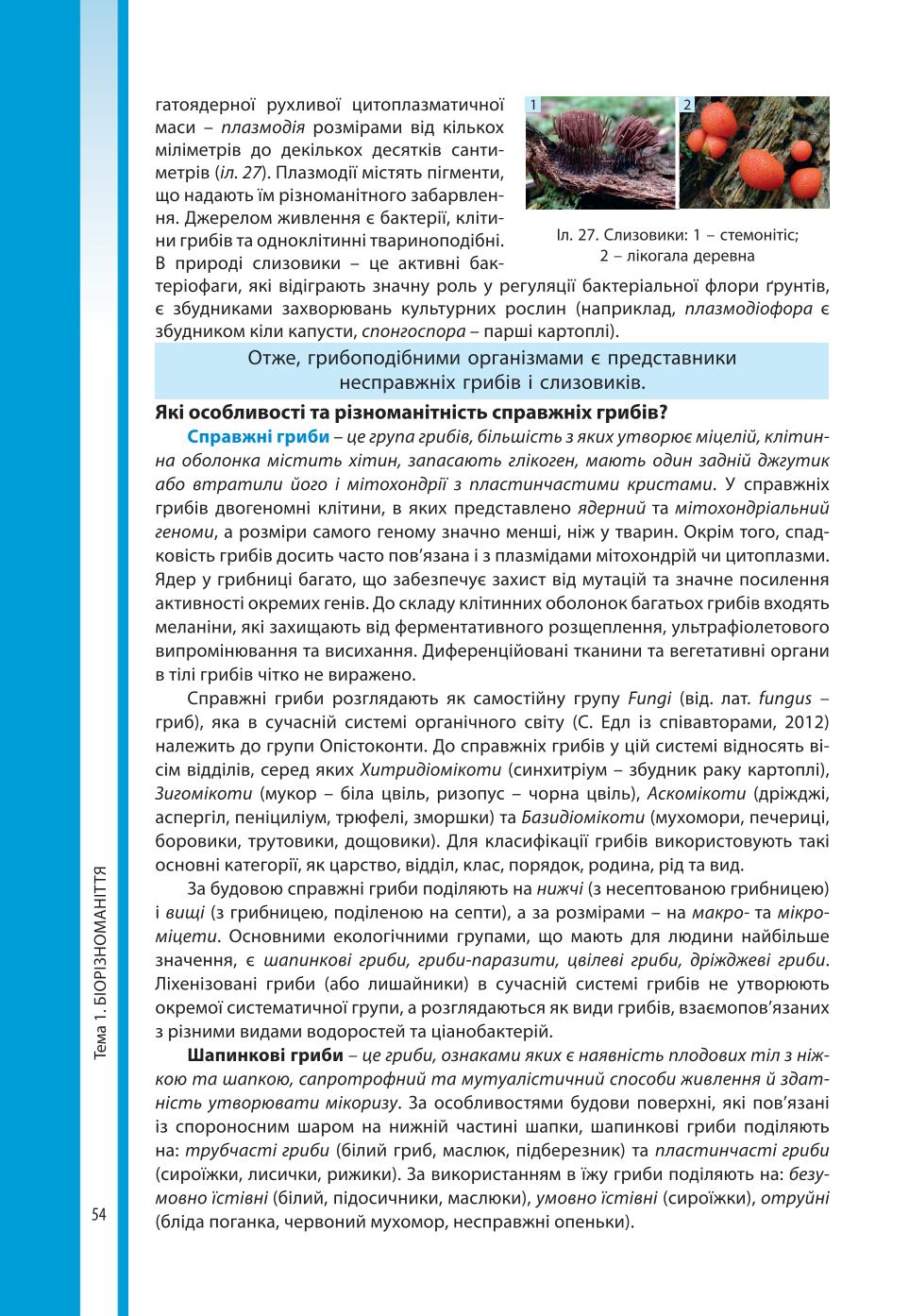 Мініатюра 54