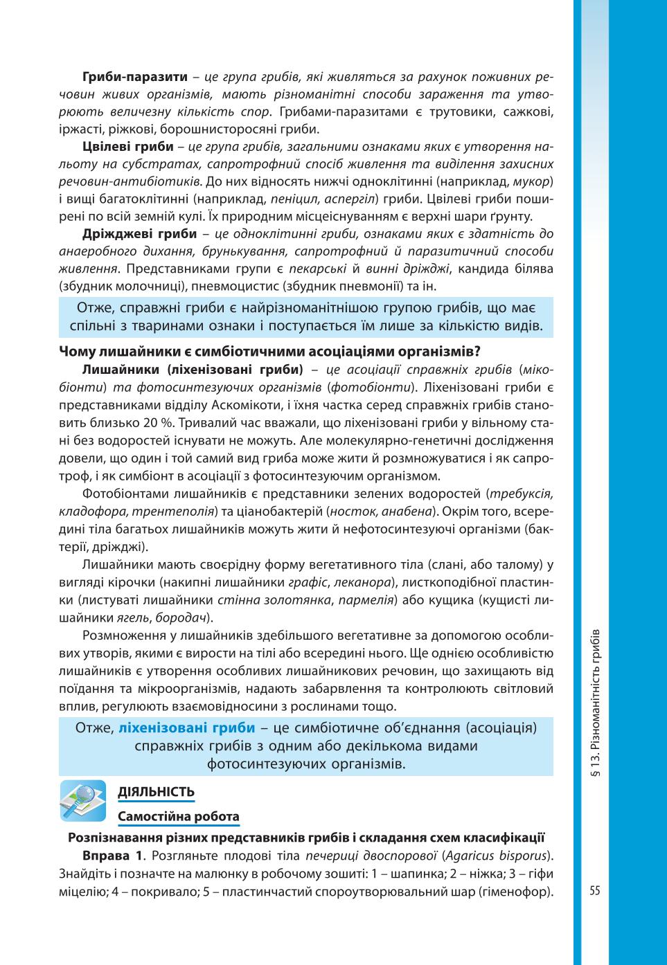 Мініатюра 55