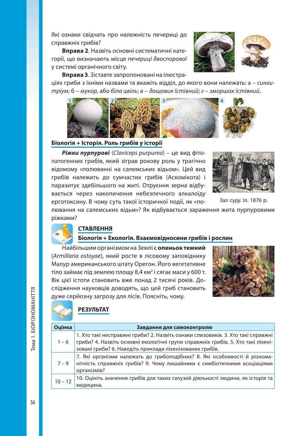 Мініатюра 56