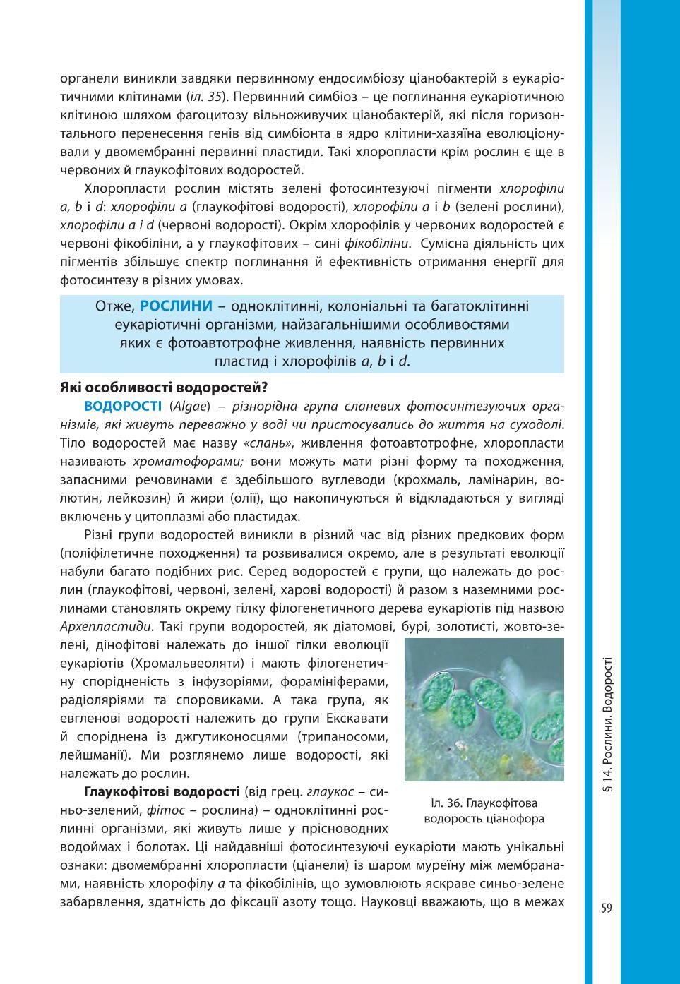 Мініатюра 59