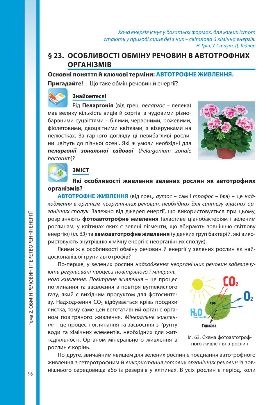 Мініатюра 96