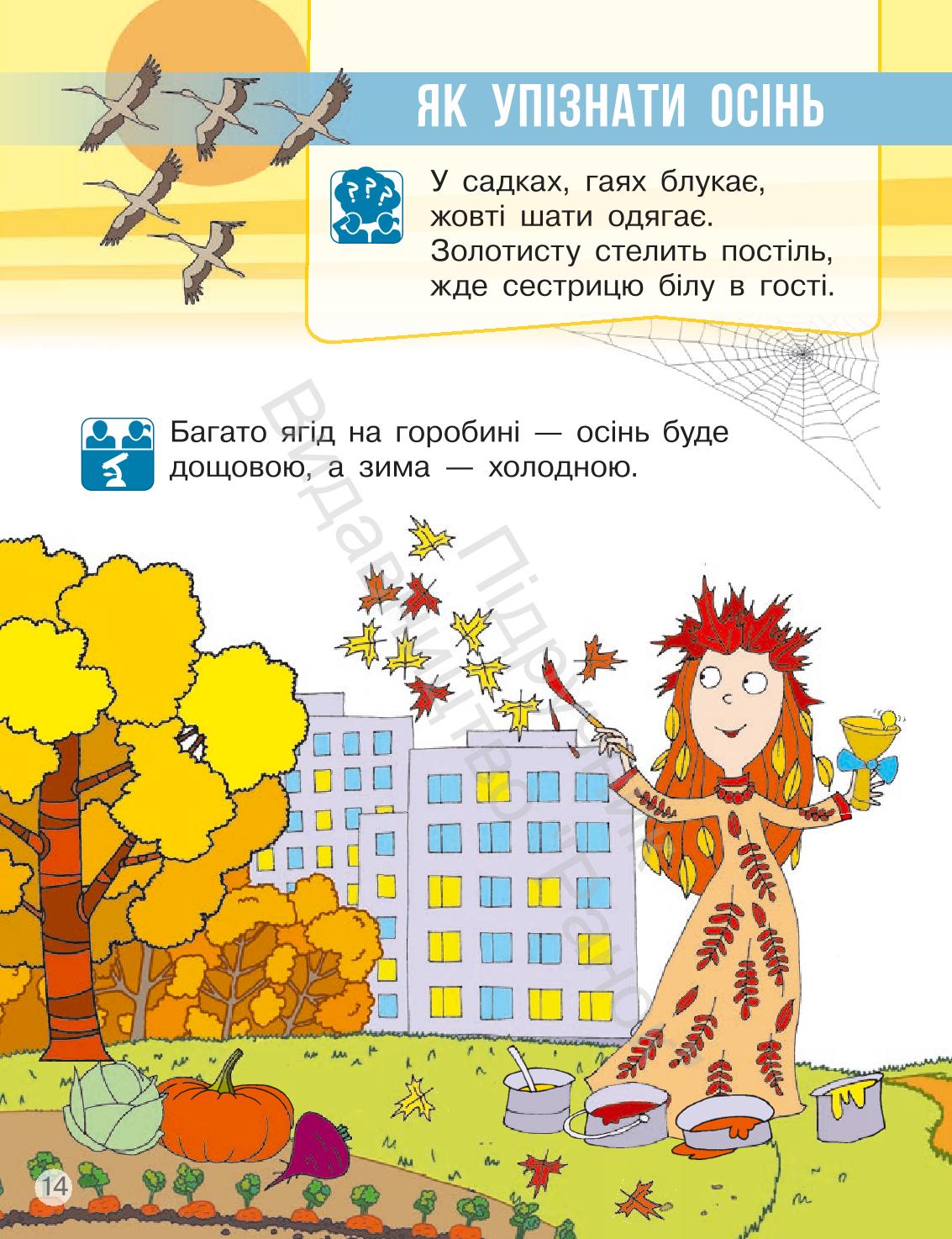 Мініатюра 14
