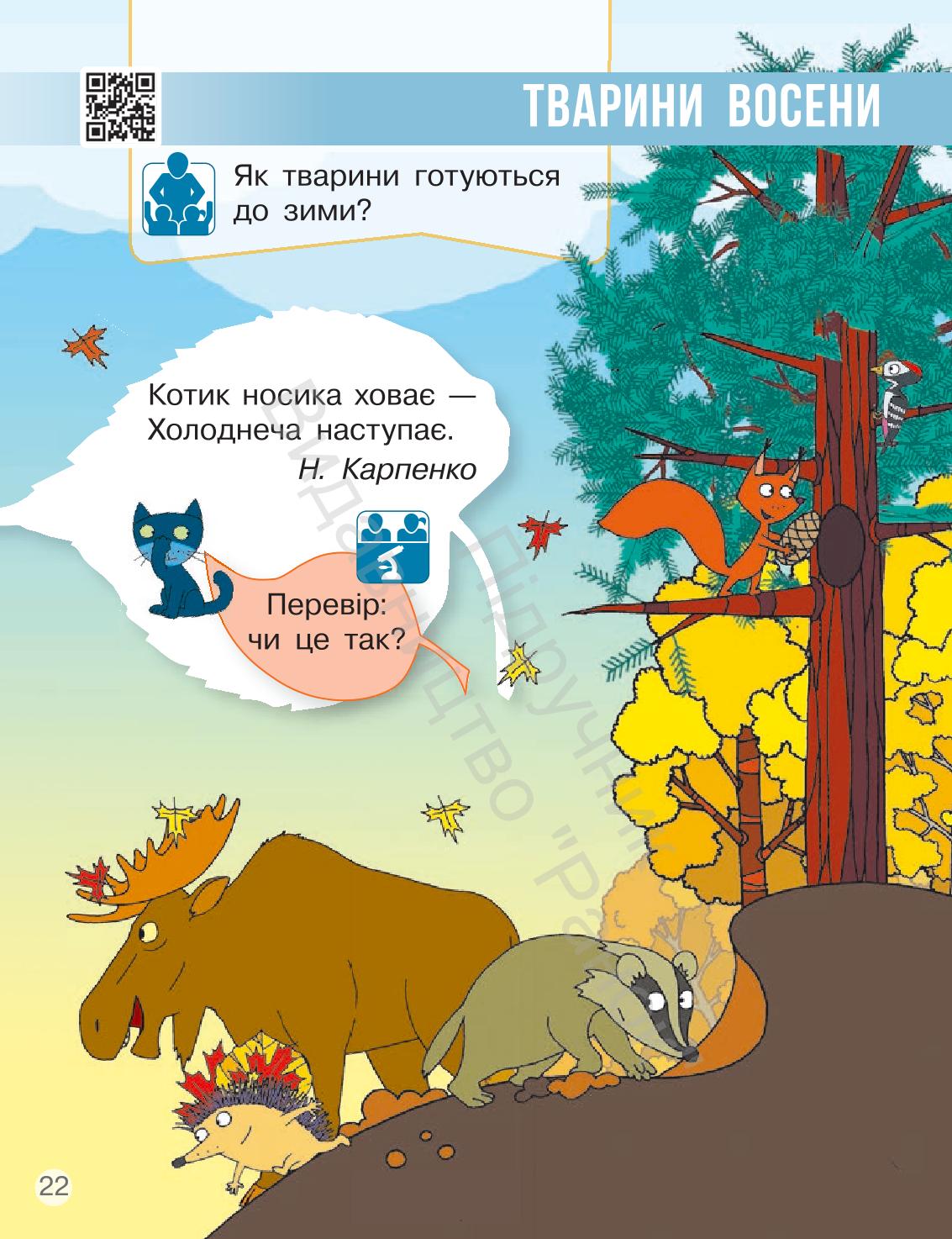 Мініатюра 22