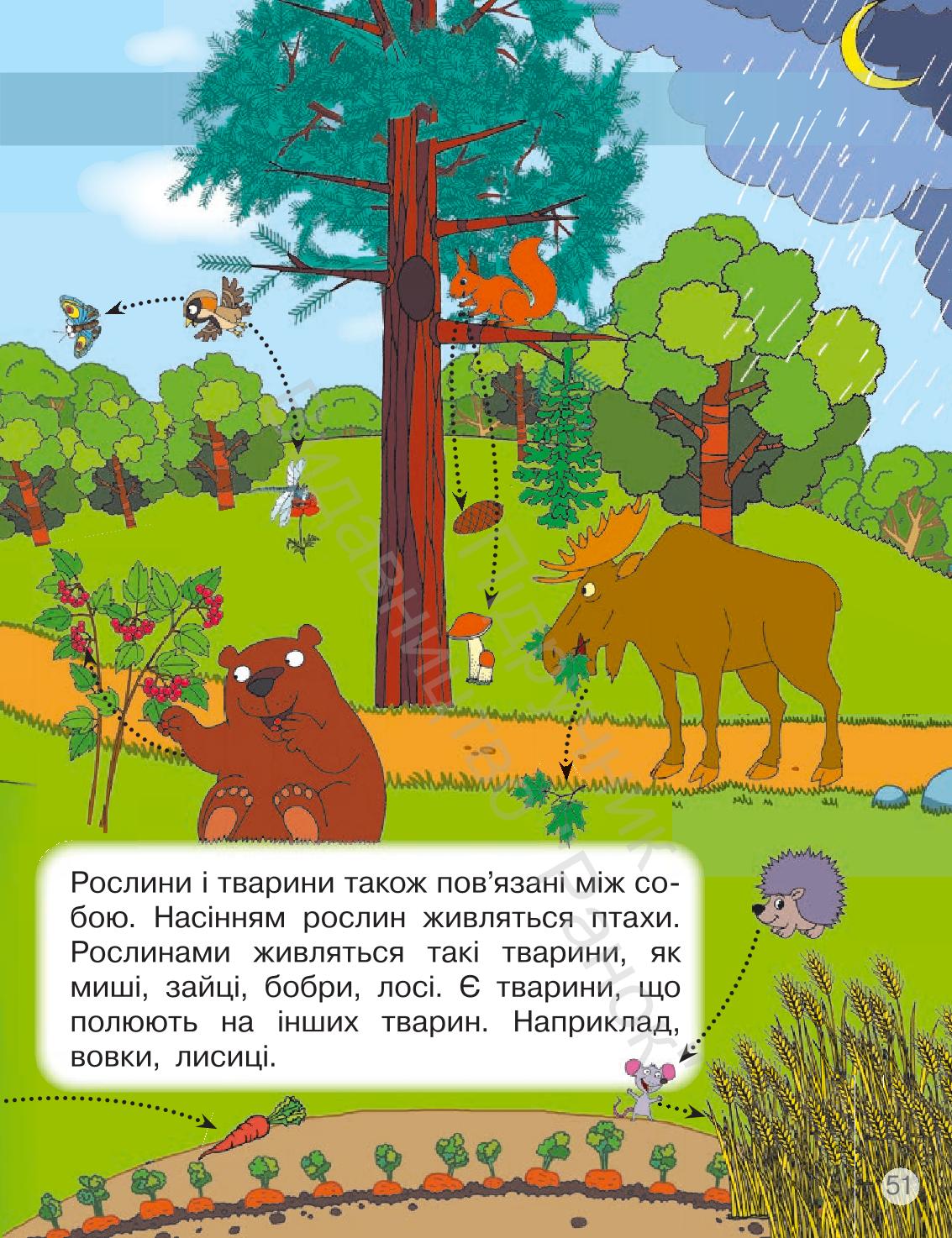 Мініатюра 51