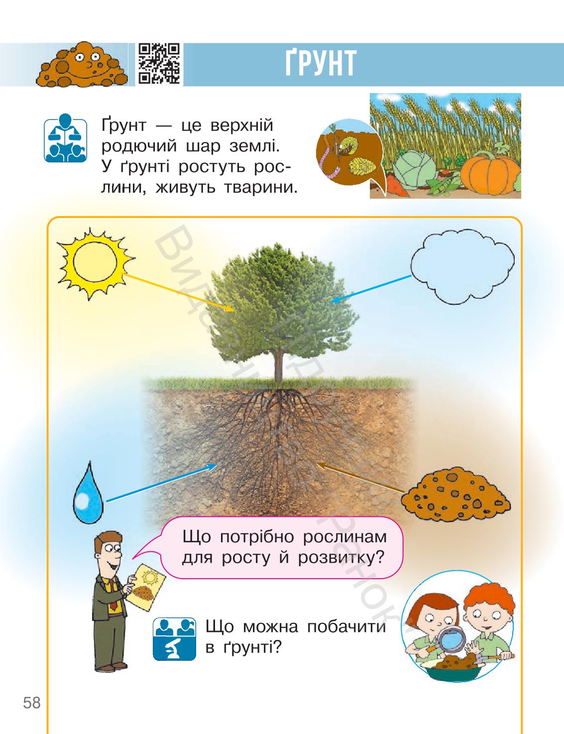 Мініатюра 58