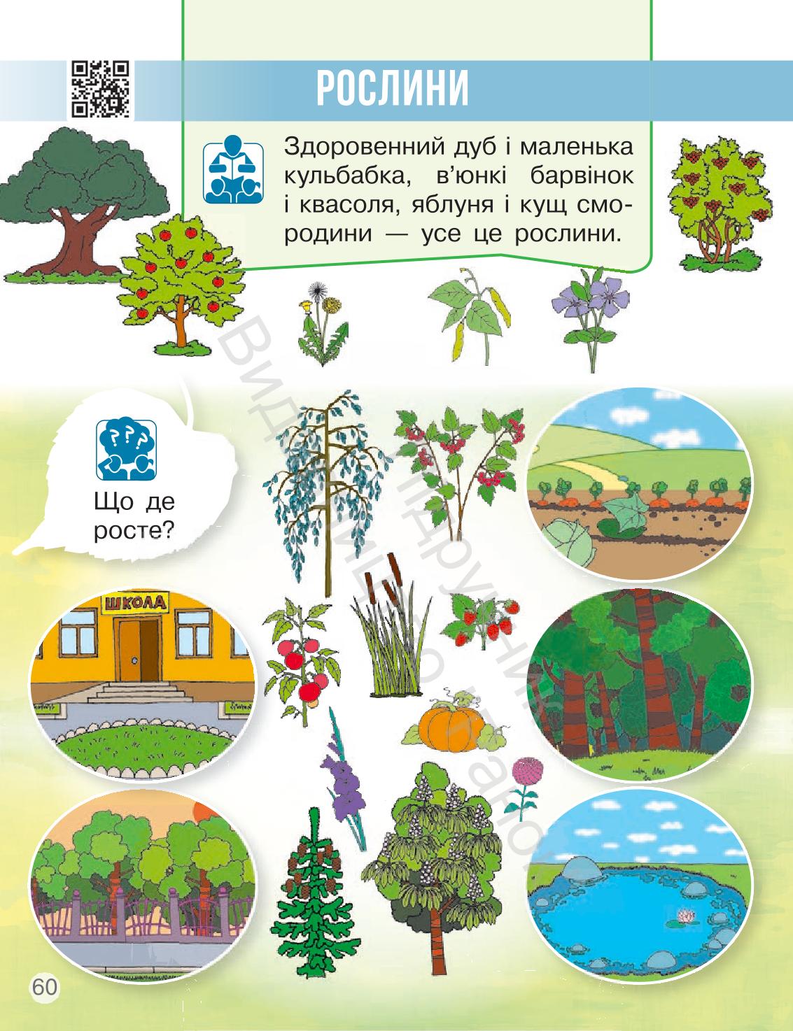 Мініатюра 60