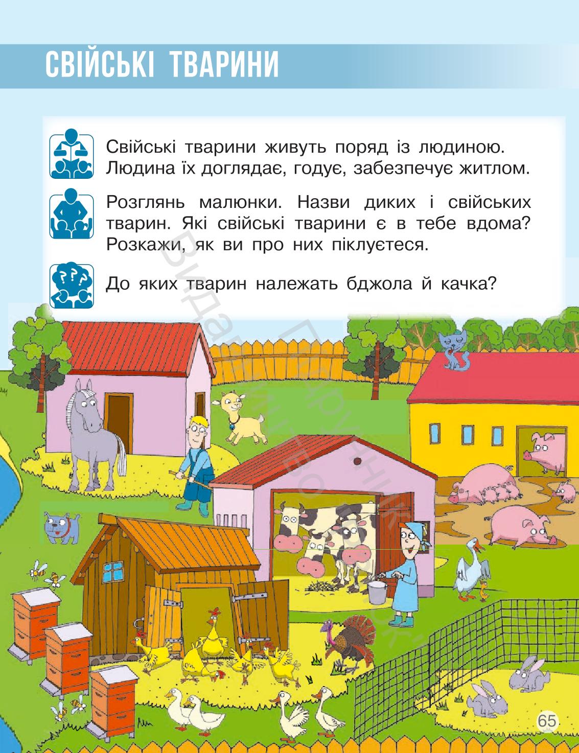 Мініатюра 65