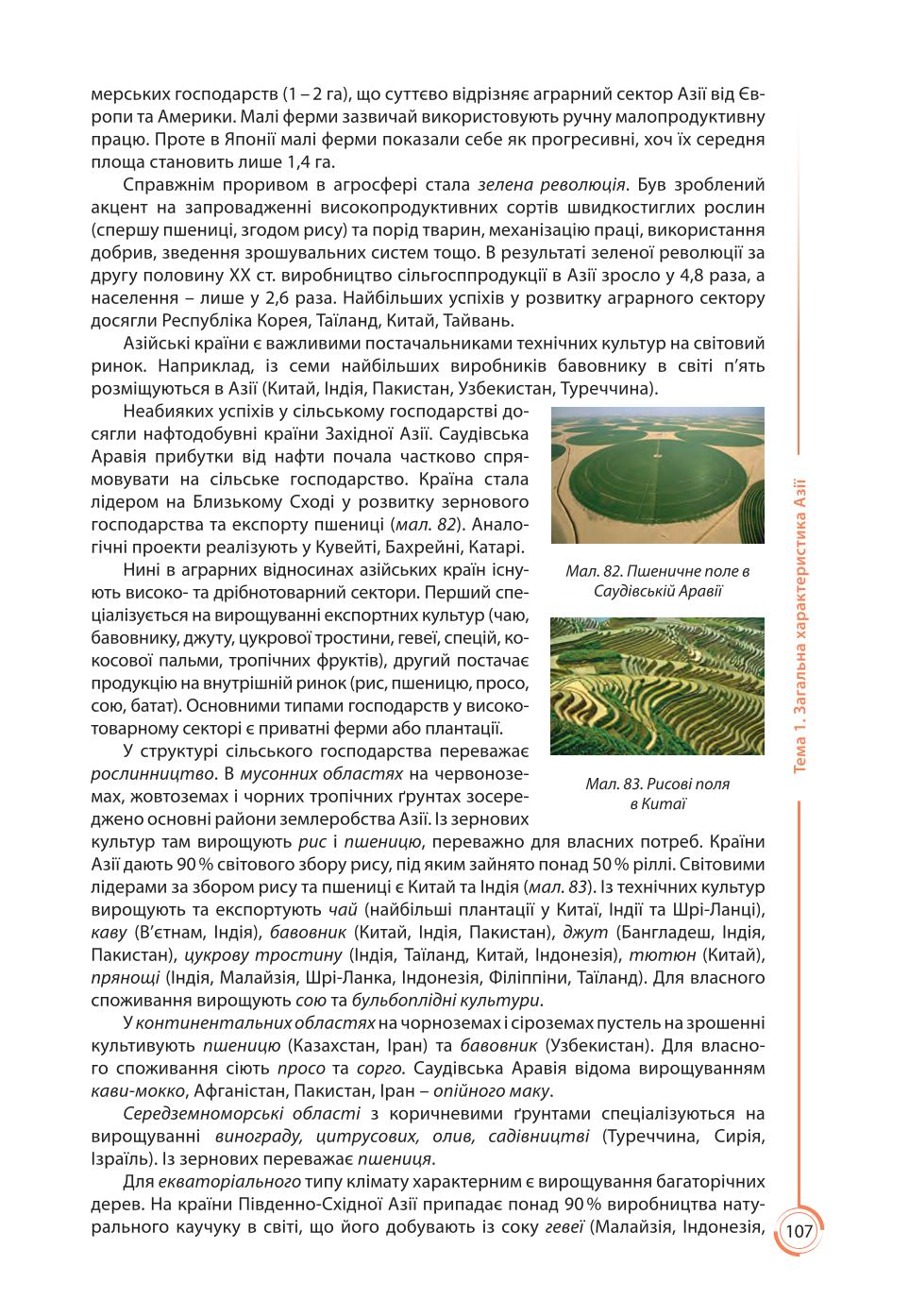 Мініатюра 107