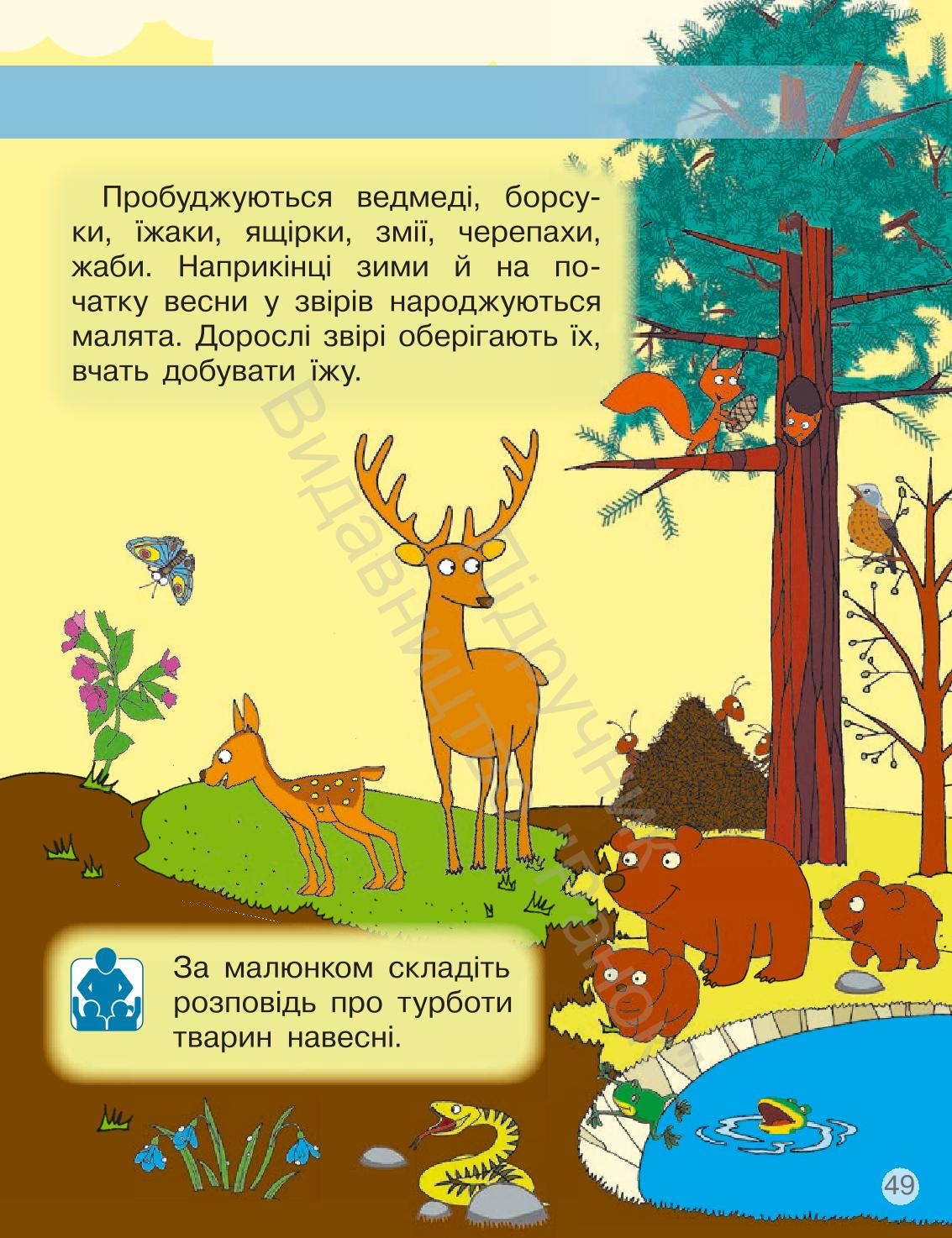Мініатюра 49