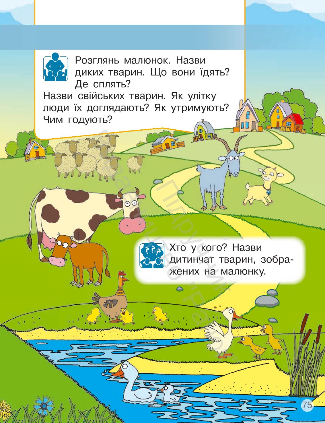 Мініатюра 75