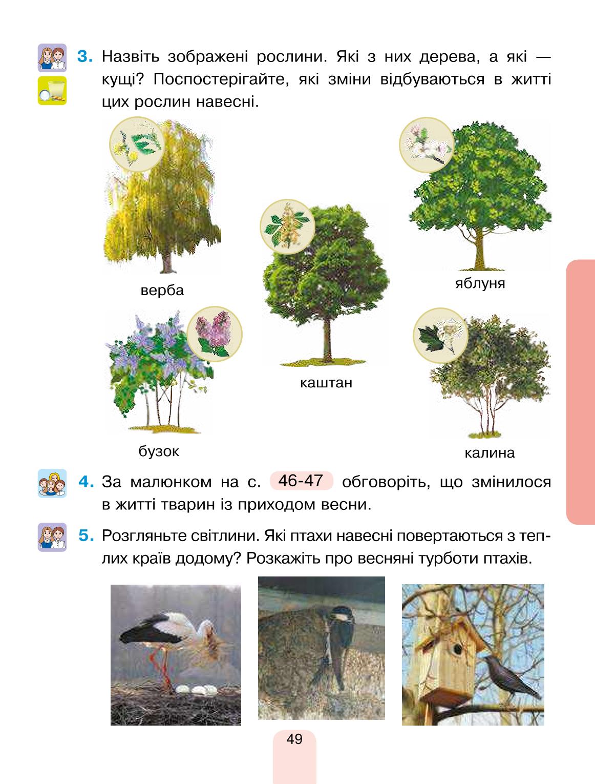 Мініатюра 49