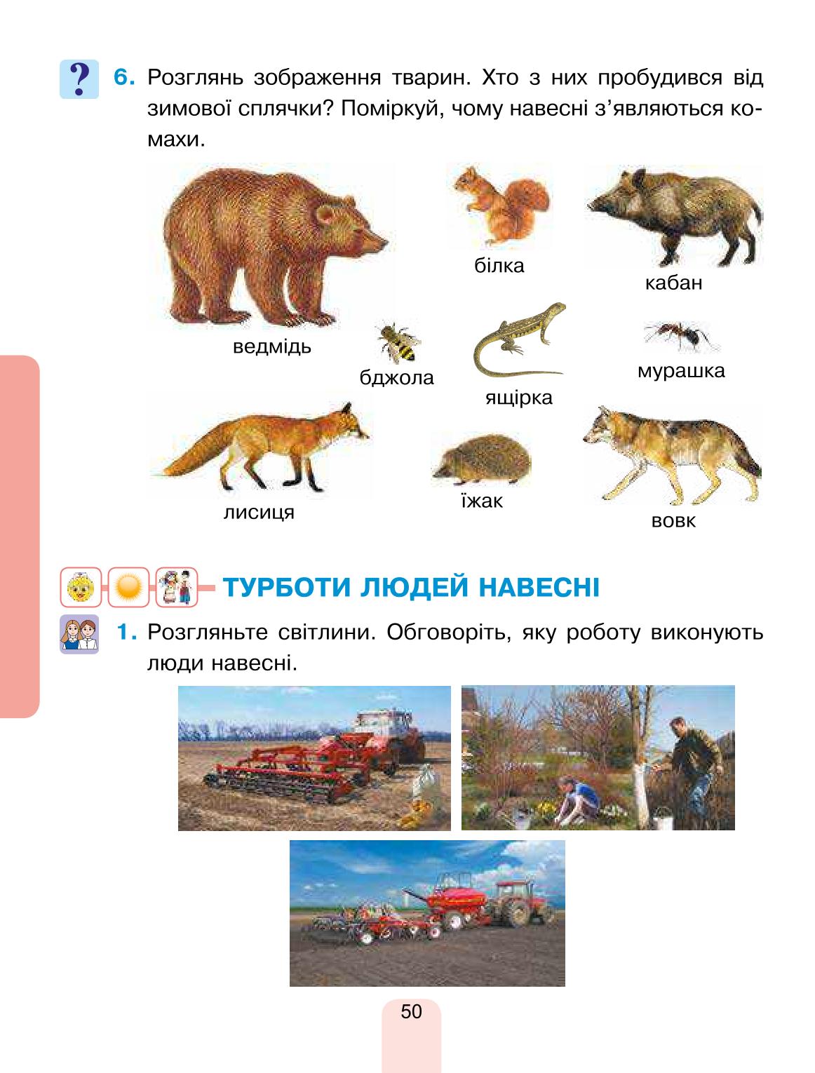 Мініатюра 50