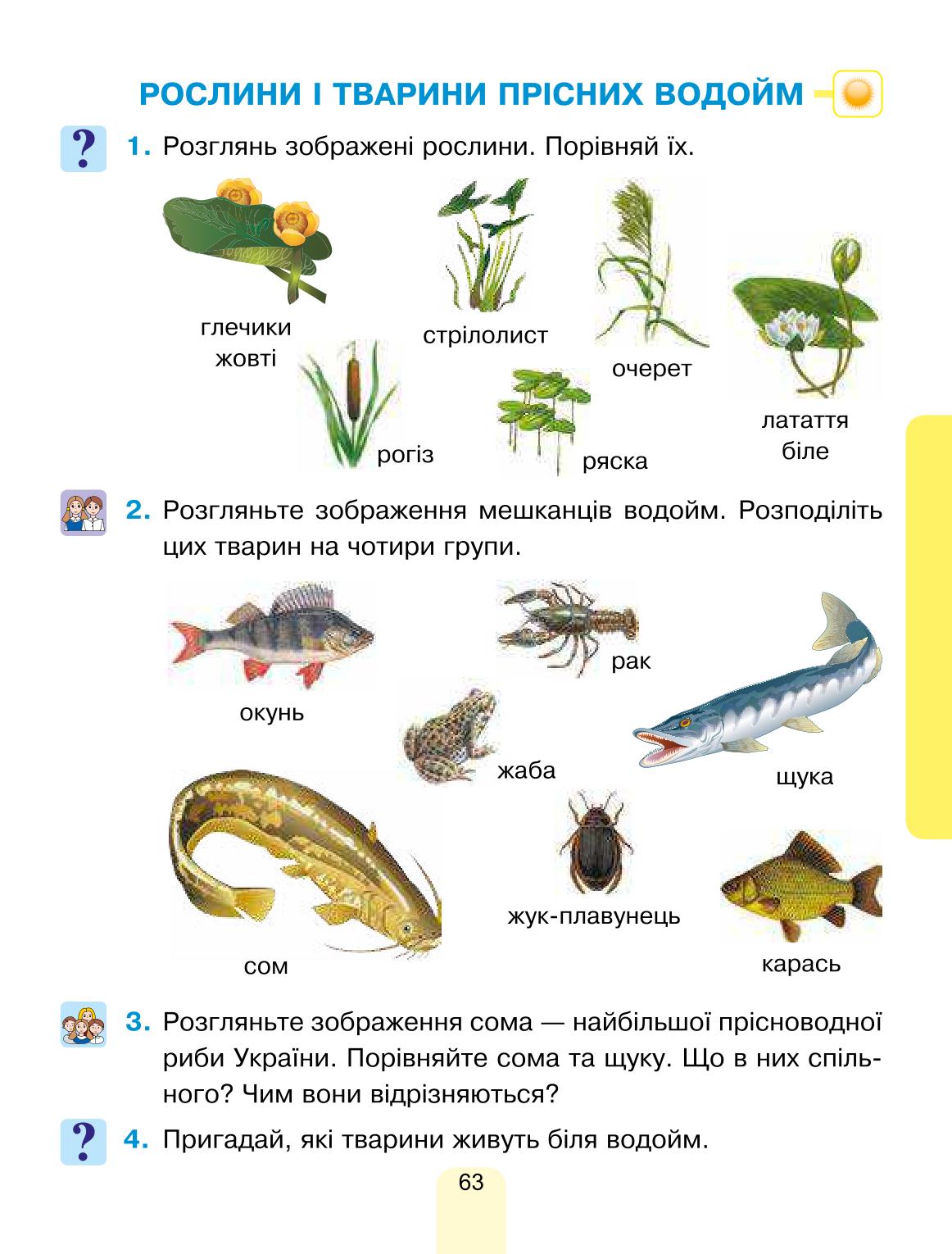 Мініатюра 63