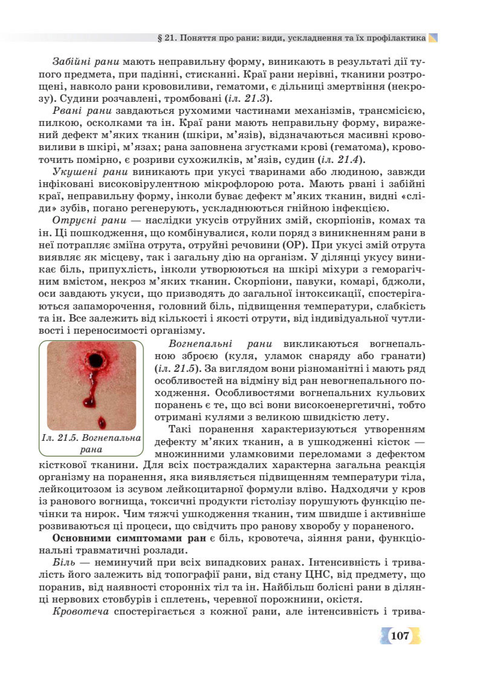 Мініатюра 107