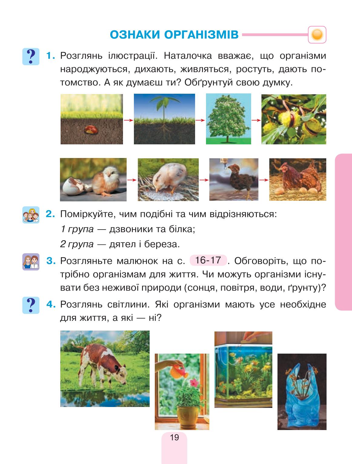 Мініатюра 19