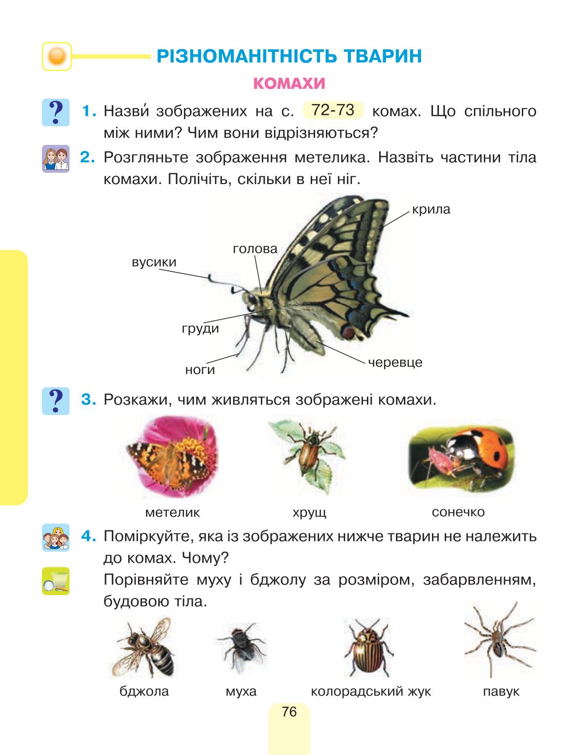 Мініатюра 76