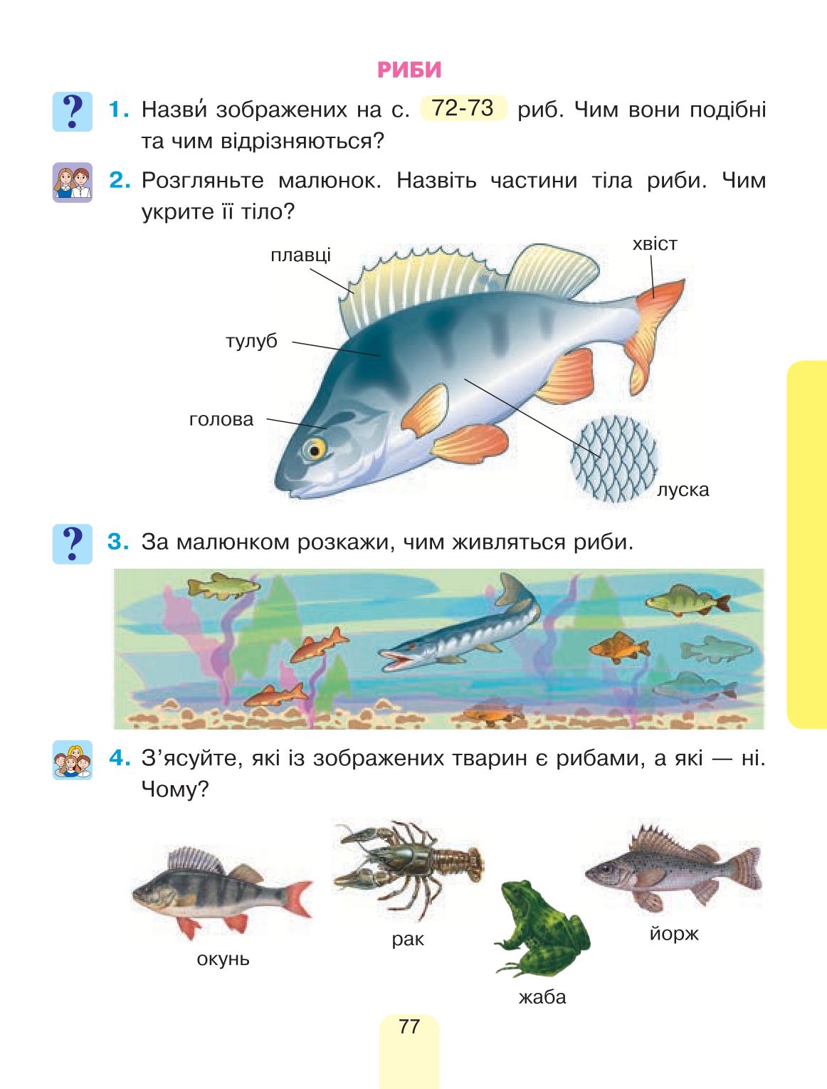 Мініатюра 77
