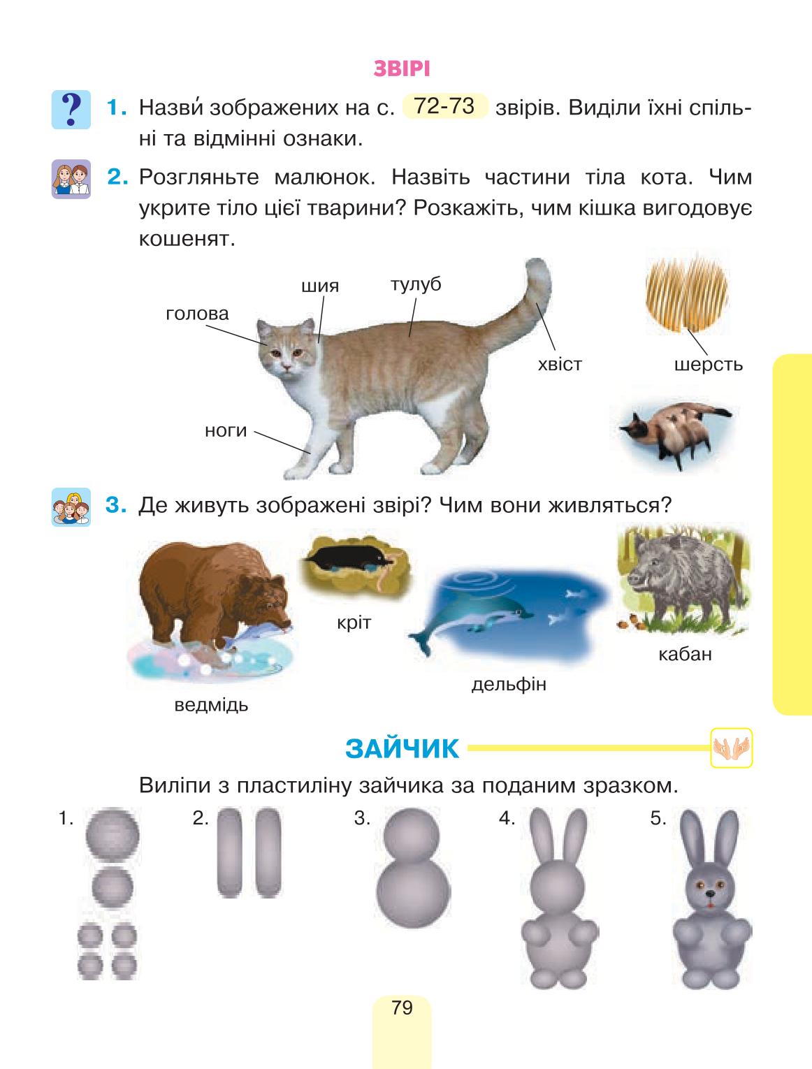 Мініатюра 79