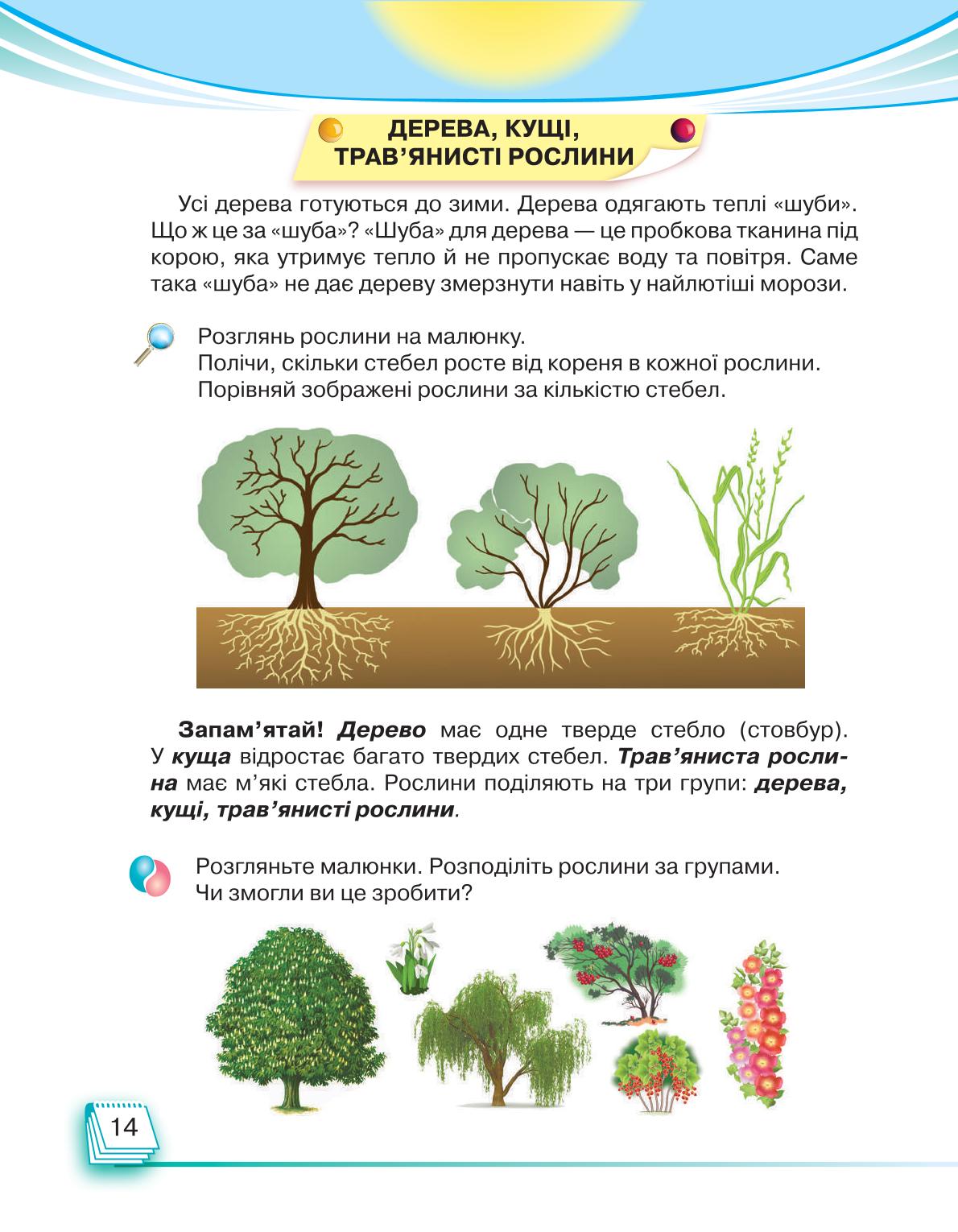 Мініатюра 14