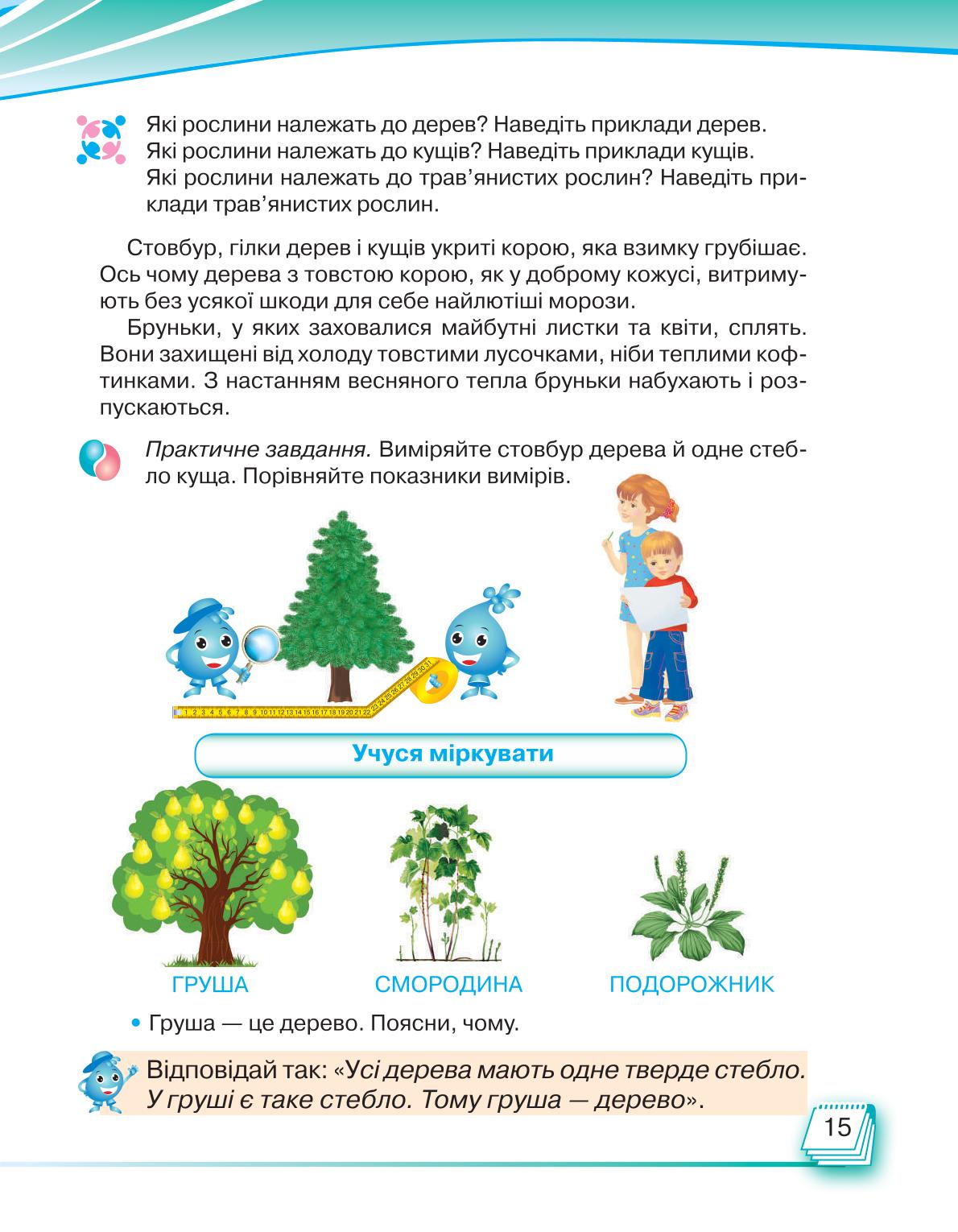 Мініатюра 15