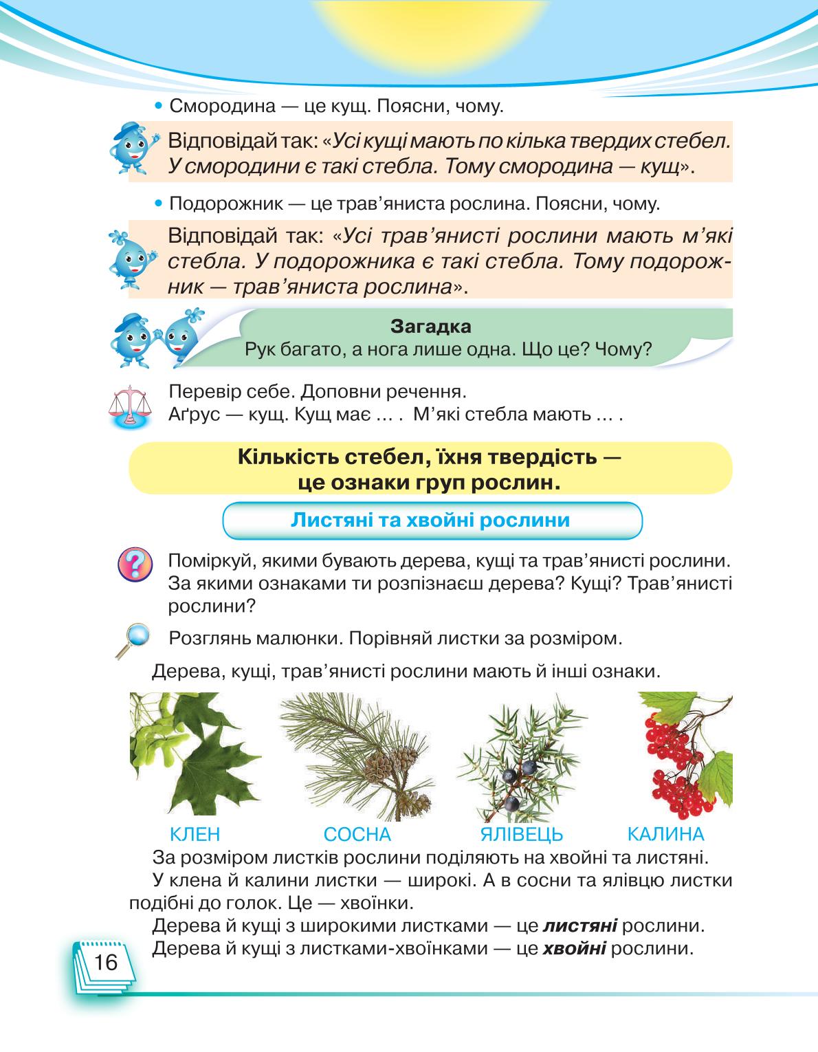 Мініатюра 16