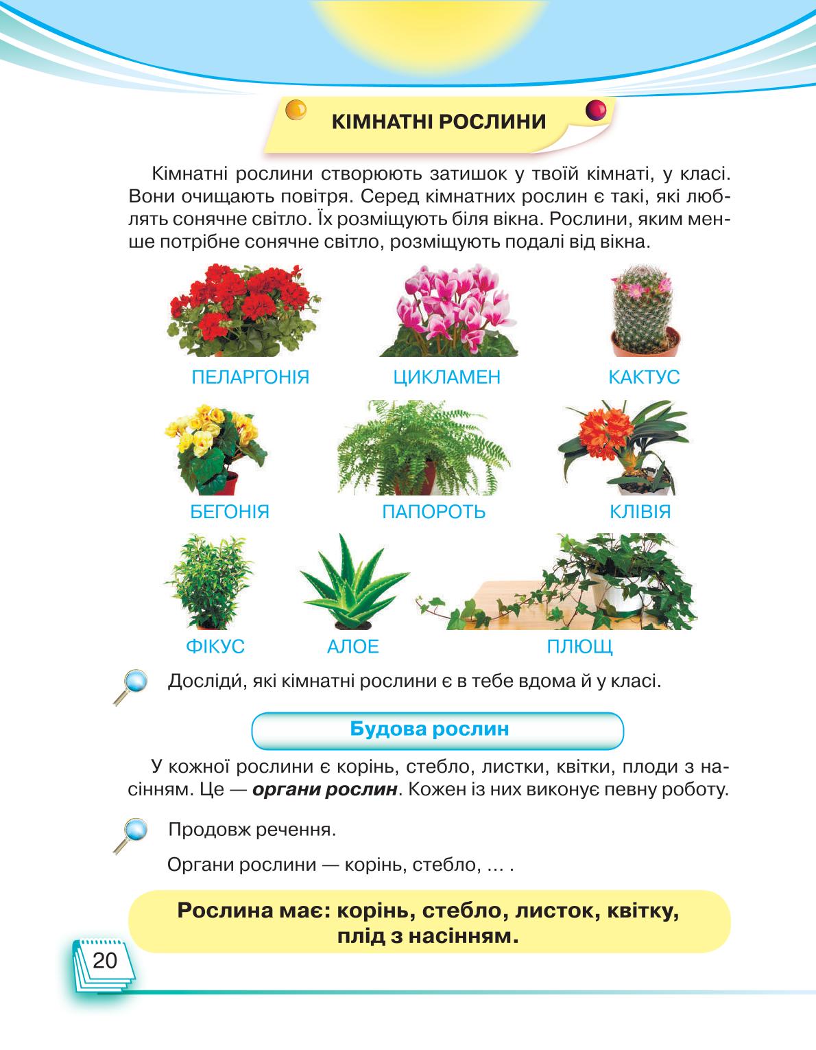 Мініатюра 20