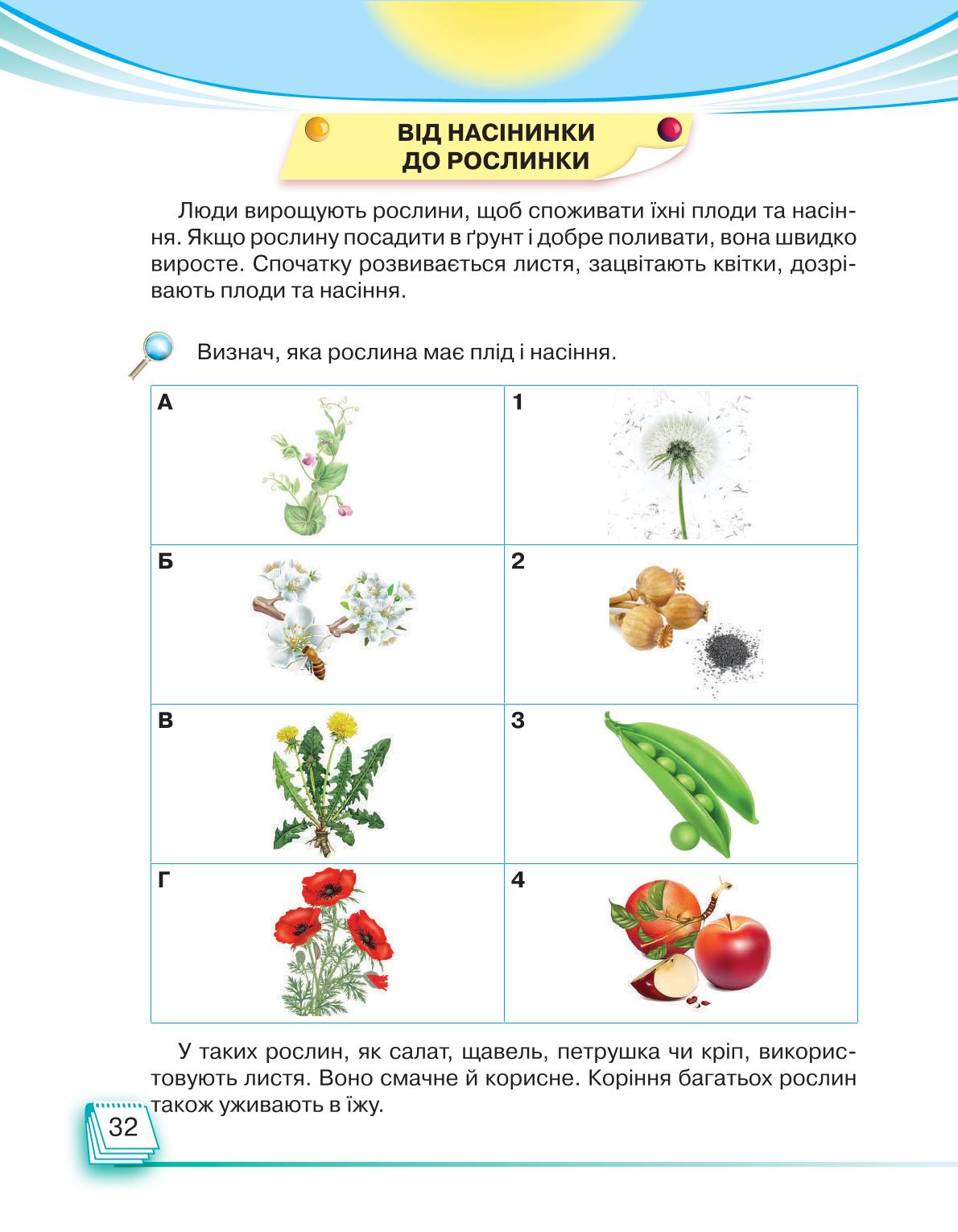 Мініатюра 32