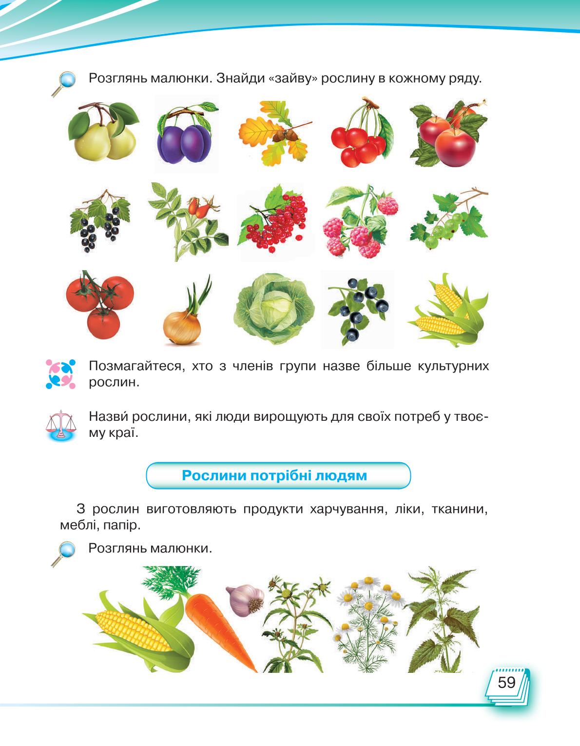 Мініатюра 59
