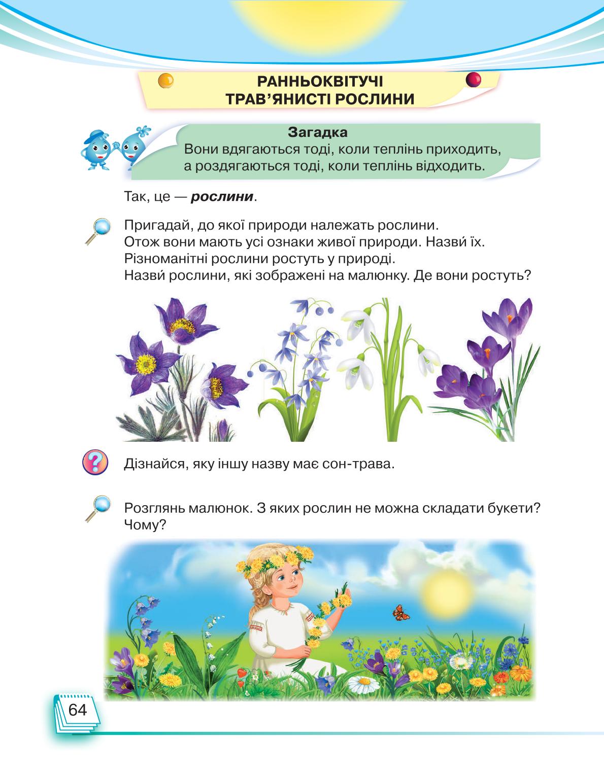 Мініатюра 64