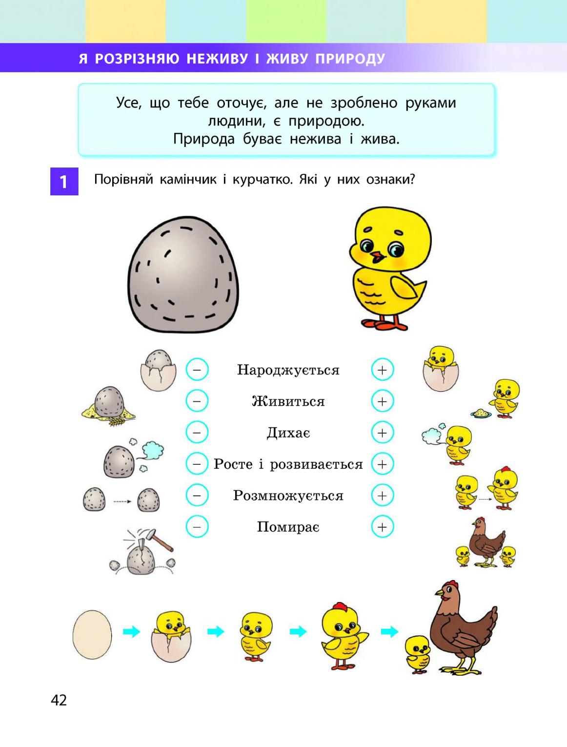 Мініатюра 42