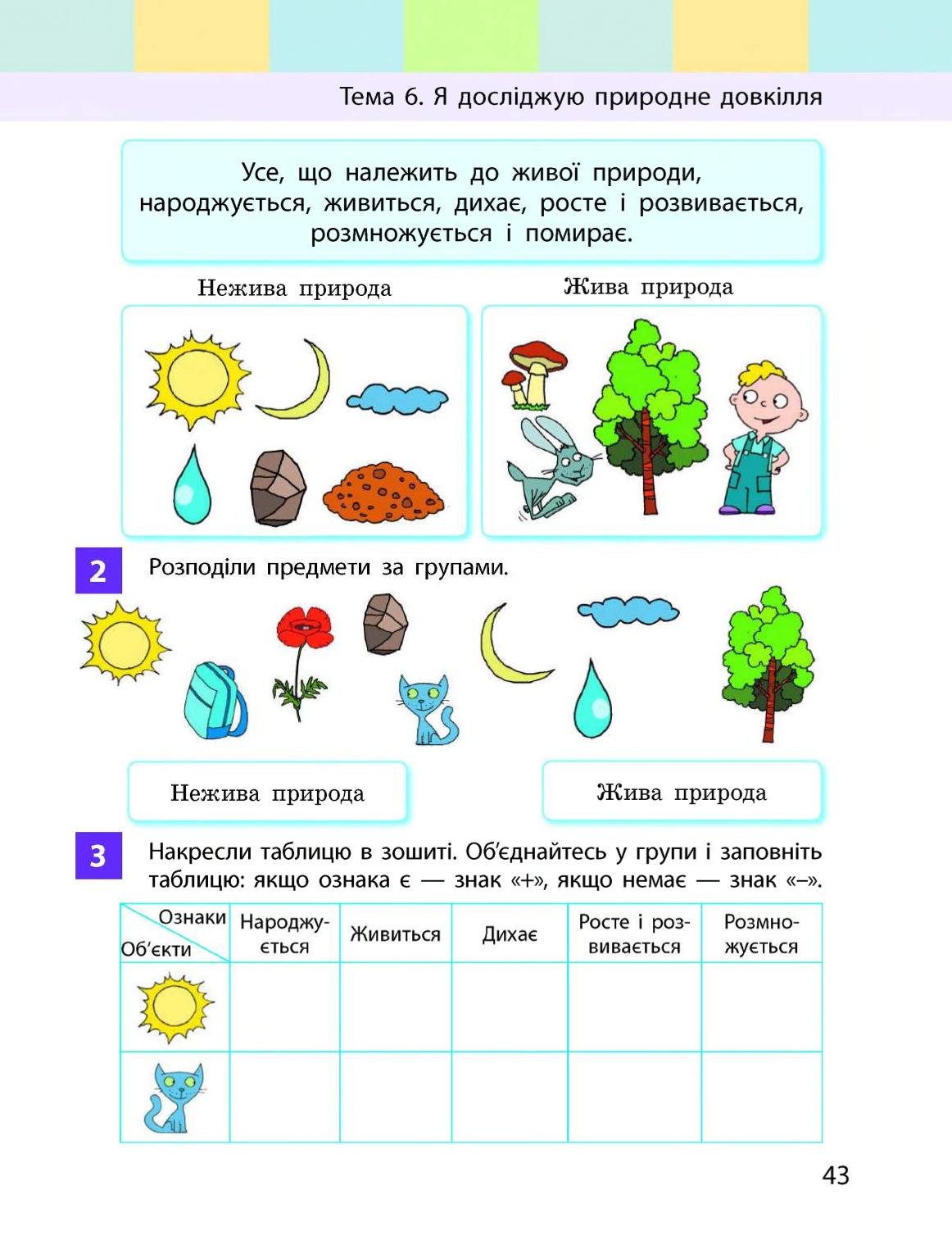 Мініатюра 43