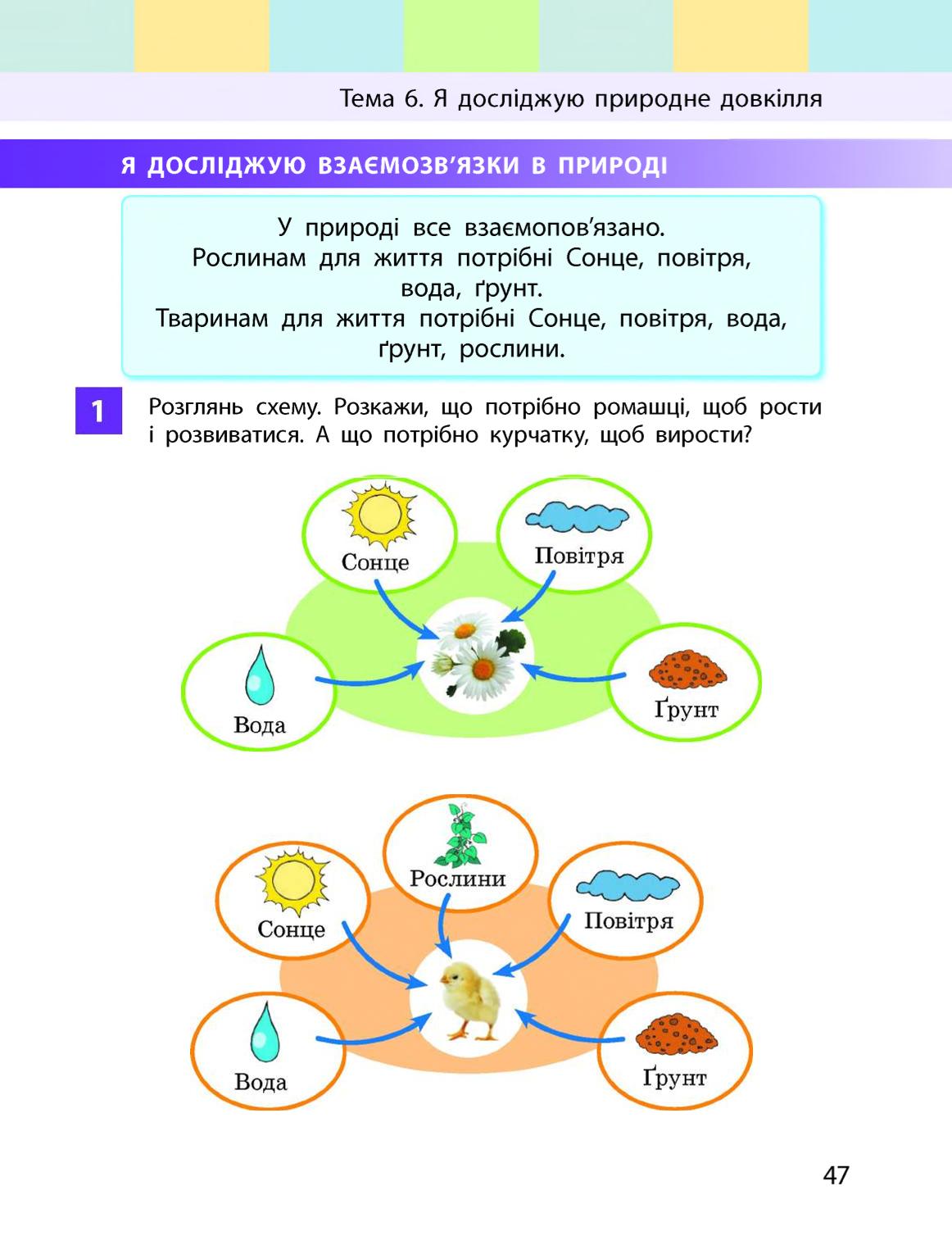 Мініатюра 47