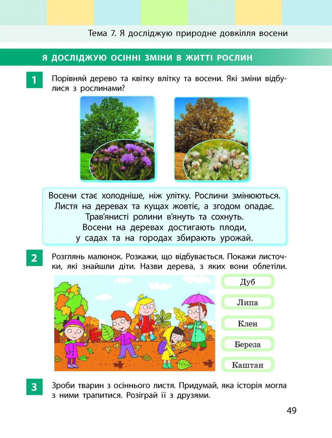 Мініатюра 49