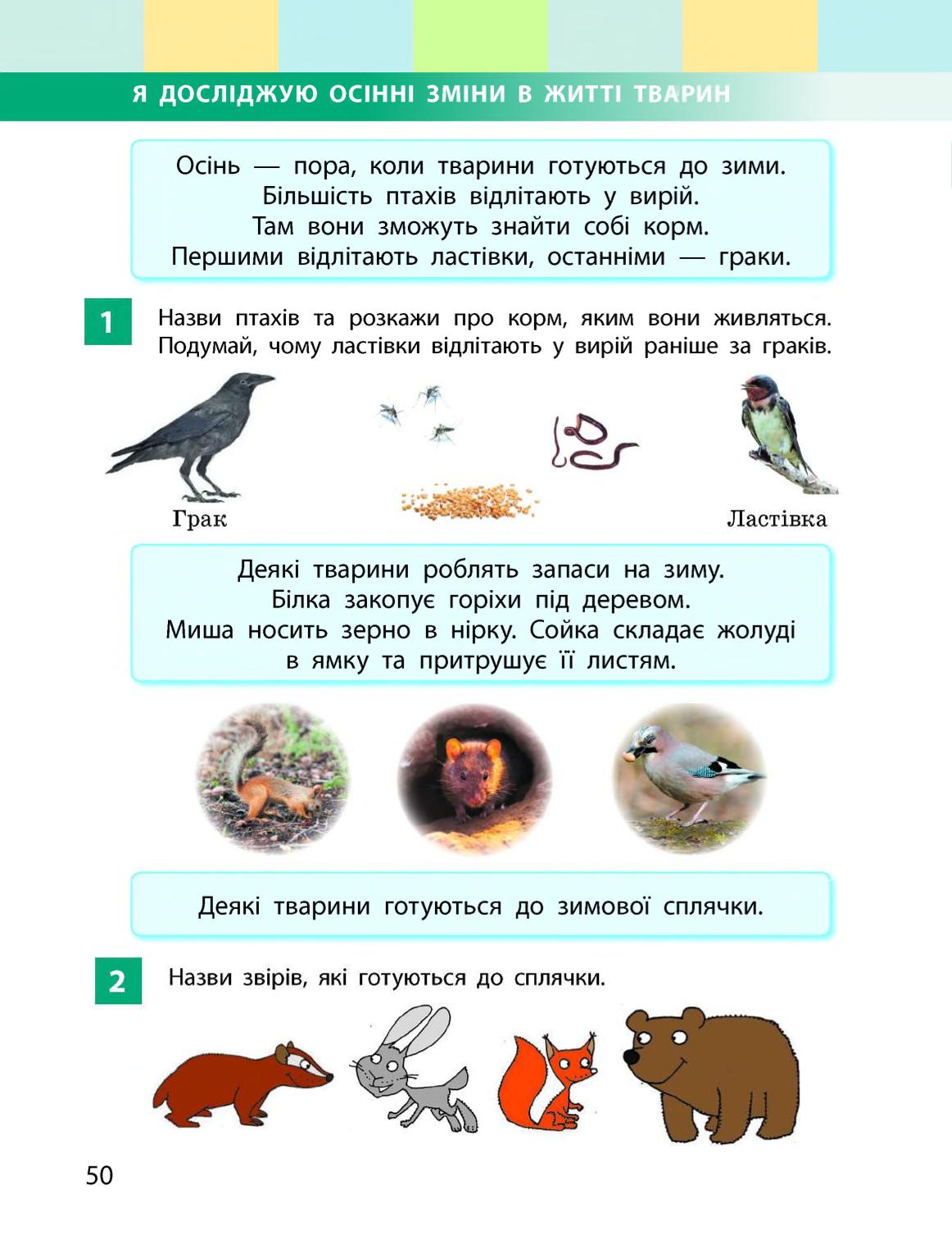 Мініатюра 50