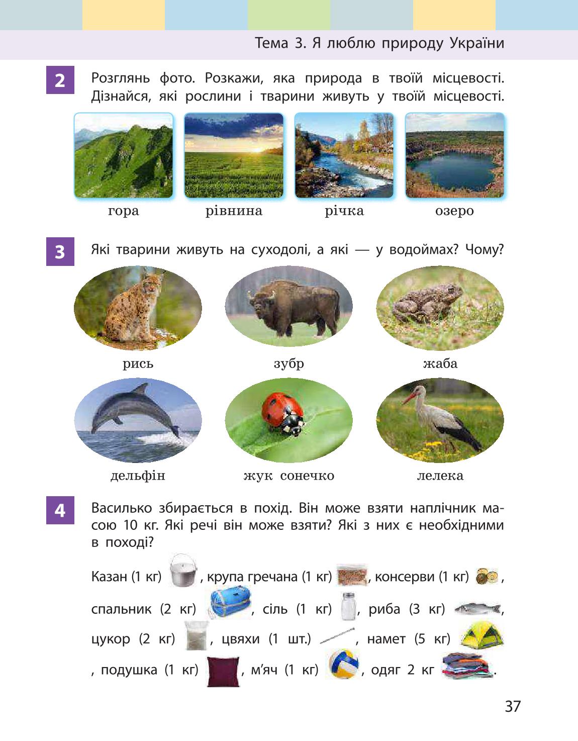 Мініатюра 37