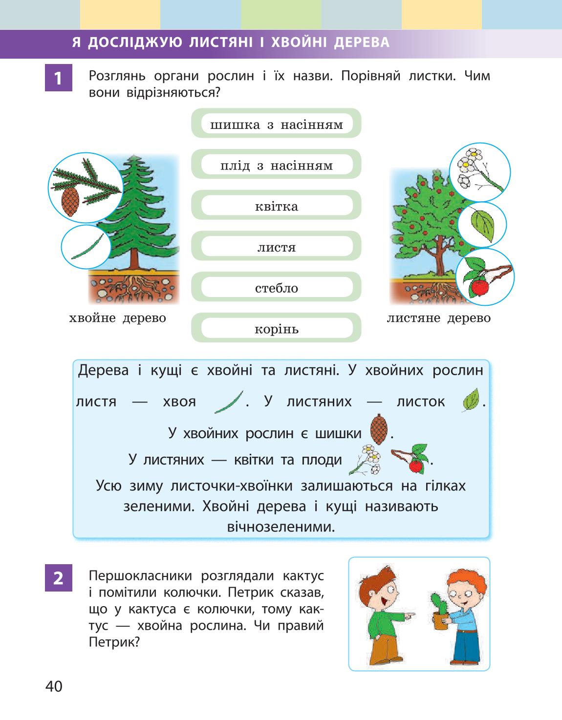 Мініатюра 40